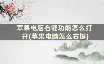 苹果电脑右键功能怎么打开(苹果电脑怎么右键)