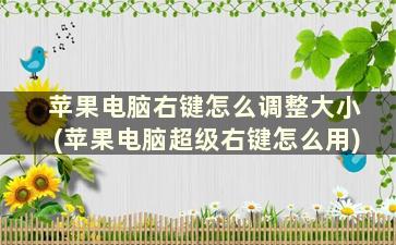 苹果电脑右键怎么调整大小(苹果电脑超级右键怎么用)