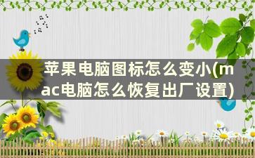 苹果电脑图标怎么变小(mac电脑怎么恢复出厂设置)