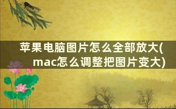 苹果电脑图片怎么全部放大(mac怎么调整把图片变大)