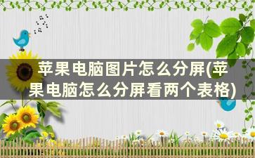 苹果电脑图片怎么分屏(苹果电脑怎么分屏看两个表格)