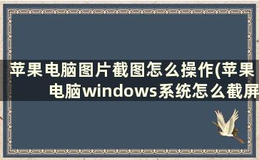 苹果电脑图片截图怎么操作(苹果电脑windows系统怎么截屏)