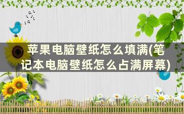 苹果电脑壁纸怎么填满(笔记本电脑壁纸怎么占满屏幕)