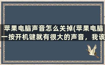 苹果电脑声音怎么关掉(苹果电脑一按开机键就有很大的声音，我该怎么弄呀)