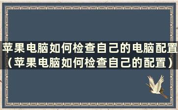 苹果电脑如何检查自己的电脑配置（苹果电脑如何检查自己的配置）