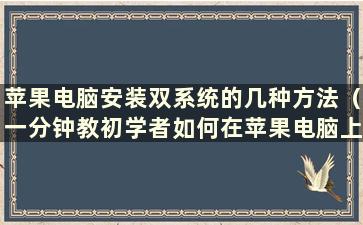 苹果电脑安装双系统的几种方法（一分钟教初学者如何在苹果电脑上安装双系统）