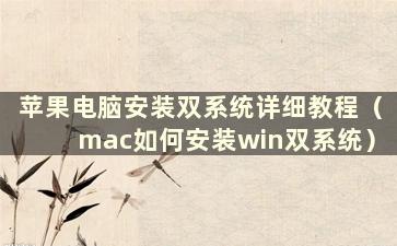 苹果电脑安装双系统详细教程（mac如何安装win双系统）