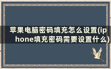 苹果电脑密码填充怎么设置(iphone填充密码需要设置什么)