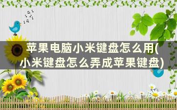 苹果电脑小米键盘怎么用(小米键盘怎么弄成苹果键盘)