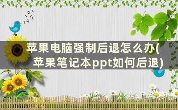 苹果电脑强制后退怎么办(苹果笔记本ppt如何后退)