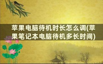 苹果电脑待机时长怎么调(苹果笔记本电脑待机多长时间)