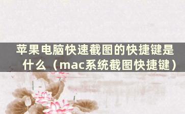 苹果电脑快速截图的快捷键是什么（mac系统截图快捷键）