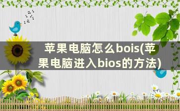 苹果电脑怎么bois(苹果电脑进入bios的方法)