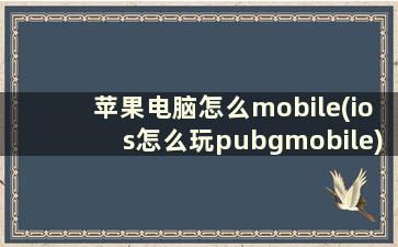 苹果电脑怎么mobile(ios怎么玩pubgmobile)