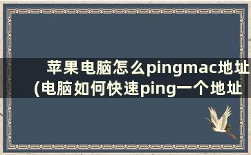 苹果电脑怎么pingmac地址(电脑如何快速ping一个地址)