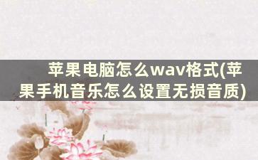 苹果电脑怎么wav格式(苹果手机音乐怎么设置无损音质)