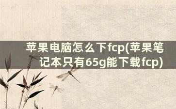 苹果电脑怎么下fcp(苹果笔记本只有65g能下载fcp)