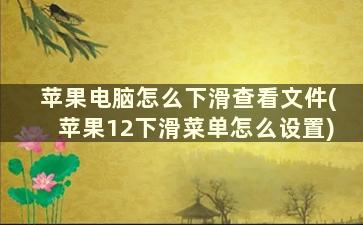 苹果电脑怎么下滑查看文件(苹果12下滑菜单怎么设置)