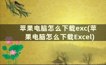 苹果电脑怎么下载exc(苹果电脑怎么下载Excel)