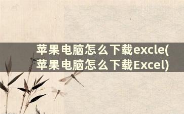 苹果电脑怎么下载excle(苹果电脑怎么下载Excel)