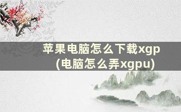 苹果电脑怎么下载xgp(电脑怎么弄xgpu)