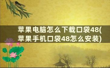 苹果电脑怎么下载口袋48(苹果手机口袋48怎么安装)