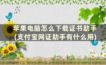 苹果电脑怎么下载证书助手(支付宝网证助手有什么用)