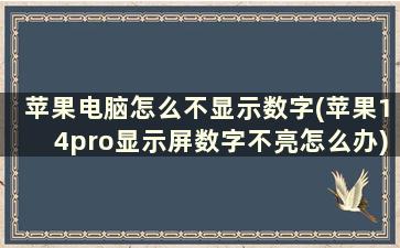 苹果电脑怎么不显示数字(苹果14pro显示屏数字不亮怎么办)