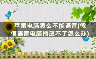 苹果电脑怎么不能语音(微信语音电脑播放不了怎么办)