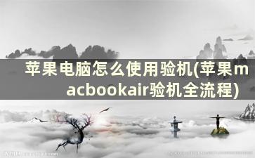 苹果电脑怎么使用验机(苹果macbookair验机全流程)