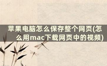 苹果电脑怎么保存整个网页(怎么用mac下载网页中的视频)