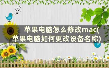 苹果电脑怎么修改mac(苹果电脑如何更改设备名称)