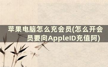 苹果电脑怎么充会员(怎么开会员要向AppleID充值阿)