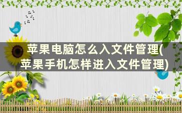 苹果电脑怎么入文件管理(苹果手机怎样进入文件管理)