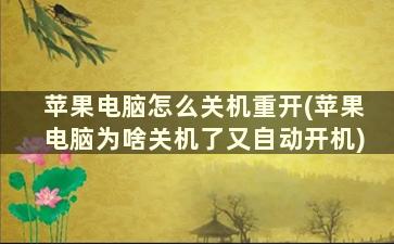 苹果电脑怎么关机重开(苹果电脑为啥关机了又自动开机)