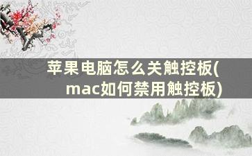 苹果电脑怎么关触控板(mac如何禁用触控板)