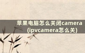 苹果电脑怎么关闭camera(ipvcamera怎么关)