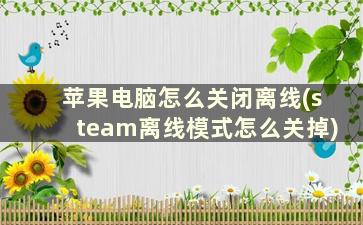 苹果电脑怎么关闭离线(steam离线模式怎么关掉)