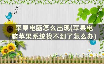 苹果电脑怎么出现(苹果电脑苹果系统找不到了怎么办)