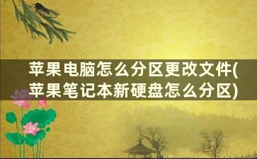 苹果电脑怎么分区更改文件(苹果笔记本新硬盘怎么分区)