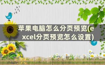 苹果电脑怎么分页预览(excel分页预览怎么设置)