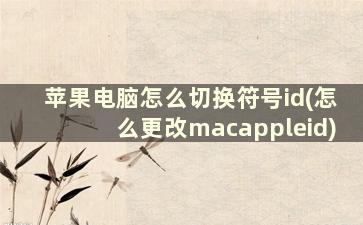 苹果电脑怎么切换符号id(怎么更改macappleid)