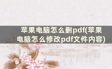 苹果电脑怎么删pdf(苹果电脑怎么修改pdf文件内容)