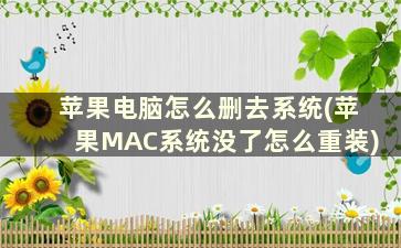 苹果电脑怎么删去系统(苹果MAC系统没了怎么重装)