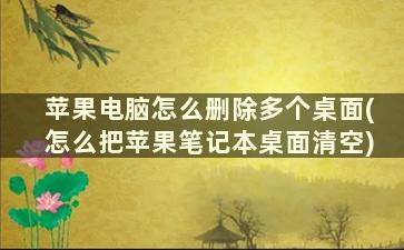 苹果电脑怎么删除多个桌面(怎么把苹果笔记本桌面清空)