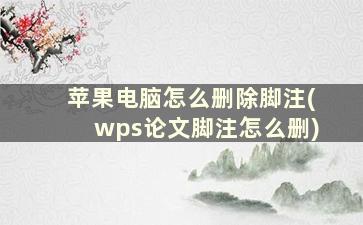 苹果电脑怎么删除脚注(wps论文脚注怎么删)