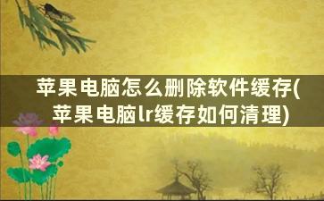 苹果电脑怎么删除软件缓存(苹果电脑lr缓存如何清理)