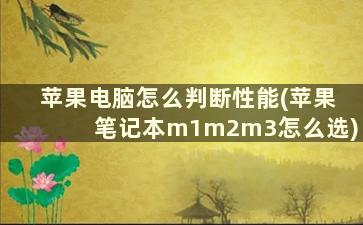 苹果电脑怎么判断性能(苹果笔记本m1m2m3怎么选)