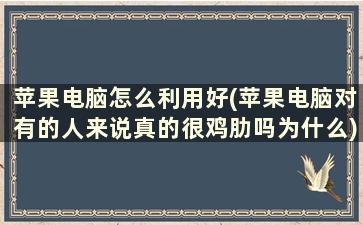 苹果电脑怎么利用好(苹果电脑对有的人来说真的很鸡肋吗为什么)