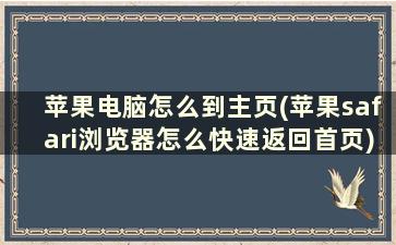 苹果电脑怎么到主页(苹果safari浏览器怎么快速返回首页)